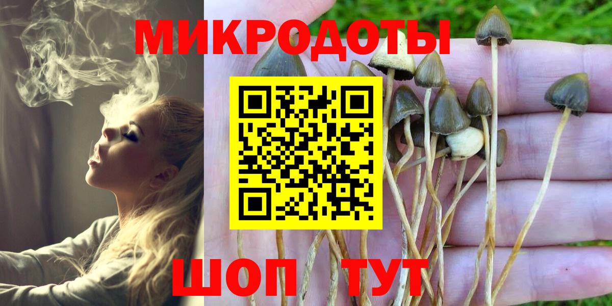 Галлюциногенные грибы Psilocybine cubensis  Вход с VPN  Мирный  Галлюциногенные грибы мухоморы 